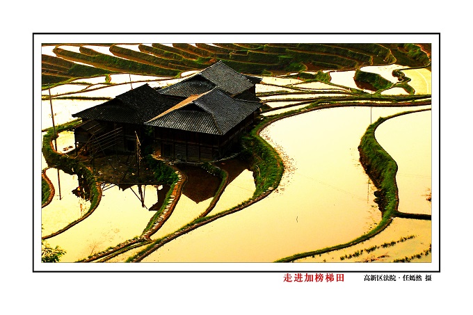 走进加榜梯田.jpg