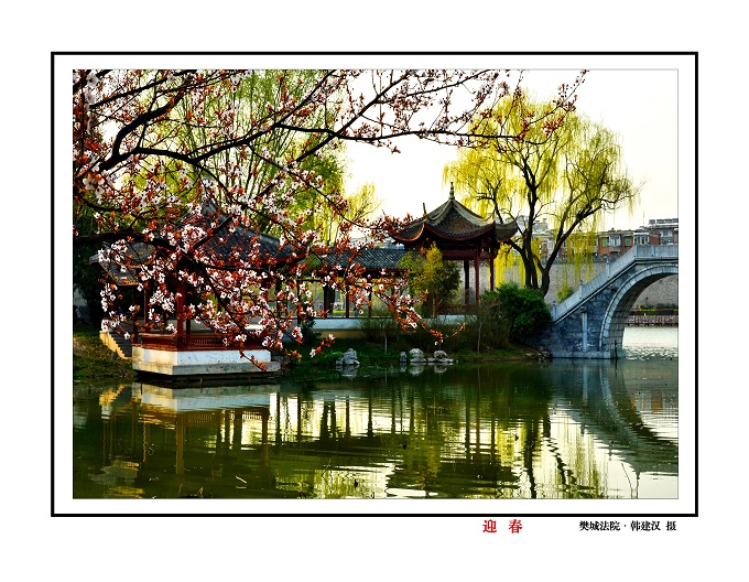 迎春.jpg